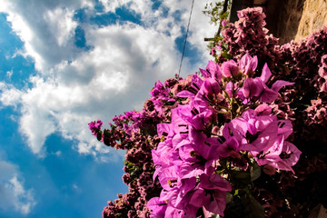 First Stock Photo Submissions