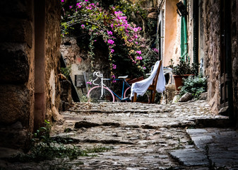 First Stock Photo Submissions