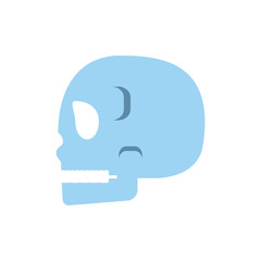 Isolated skull icon vector design