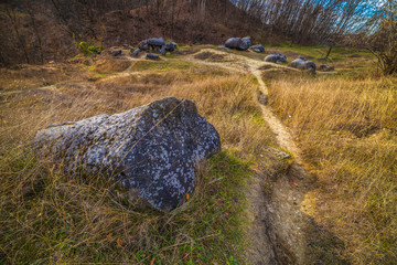 Trovantii – the strangest living stones in Romania.