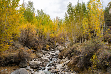 River running through rocks surround by autumn trees