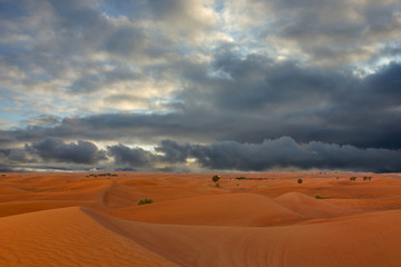 Fototapeta na wymiar Natural landscape, desert evening cloudy sky view, United Arab Emirates, Dubai