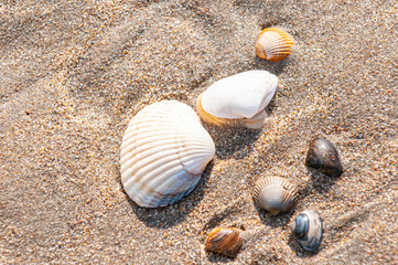 In Holland am Strand und an der Küste