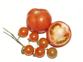 tomatoes on white background