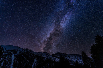 Starry night in Fairy Meadows