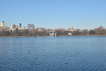 Fototapeta premium New York skyline from park