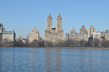 Fototapeta na wymiar New York skyline from park