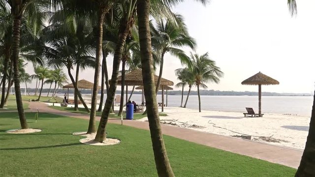 Beautiful Garden by the Beach - Slide Right to left 