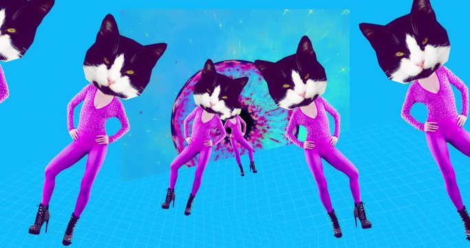 Fashion motion art. Dancing glamour Kitty on minimal background. Clubbing fashion style