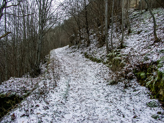 Chemin de montagne enneig&eacute;