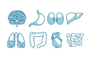 人間の内臓のアイコンイラスト