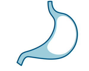 人間の内臓のアイコンイラスト