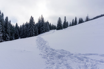 Fototapeta na wymiar Winter trail in snow. Rusinowa Glade. Tatra Mountains.