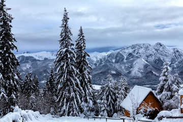 Tatra mountains winter landscape with trees and snow