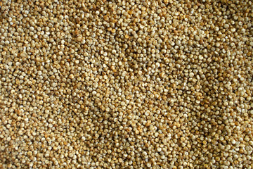 Argentine quinoa for food texture. Selective focus