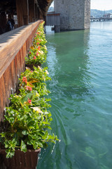 Flower pots with small green plants and cute red flower on side wall of wooden bridge across river, copy space