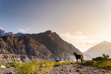 Mountain scenery in Pakistan