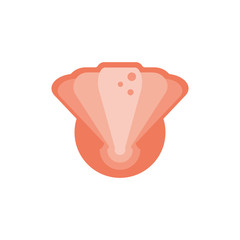 Isolated sea shell vector design