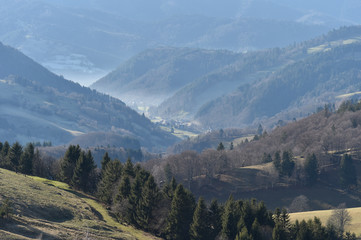 Nebliges Tal im Schwarzwald
