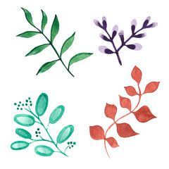 Watercolor plants