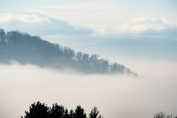 Nebelwaden im Schwarzwald