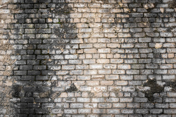 Old brick wall background. Grunge texture.