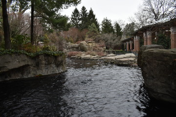 Pond