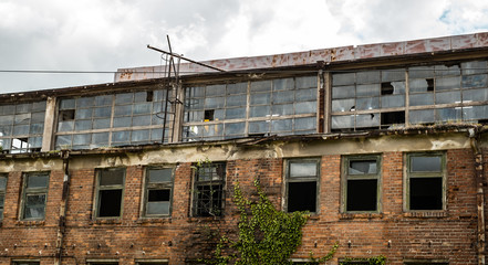 Fototapeta premium abandoned factory warehouse with broken windows and covered in green ivy plant