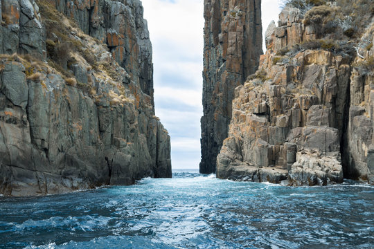 Water flowing through a rock formation, with seals on the cliff face. 