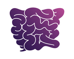 Human internal organs icon illustration