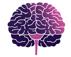 Human internal organs icon illustration