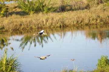 A peaceful walk into our local nature preserve
