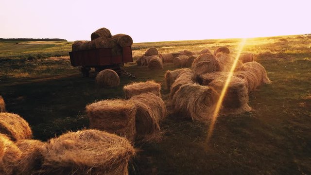 Green summer field with rolled haystacks on the background of sunny sky