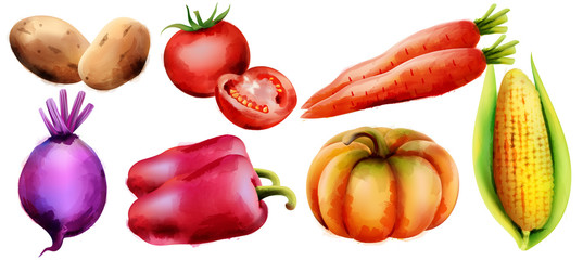 Colorful line art composition with bio vegetables