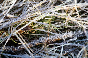 Frost