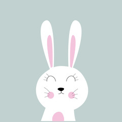Fototapeta premium rabbit grey nursery bunny cute animal
