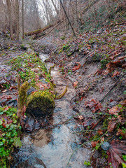 Muddy road in rural path at the forest with creek.