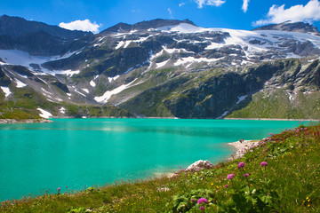 lake in mountains with flowers