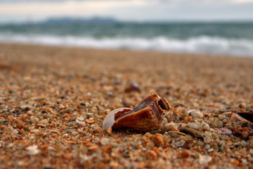 Evening on the beach