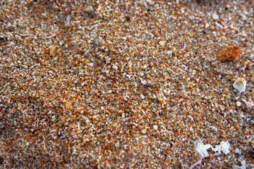 beach sand in the evening