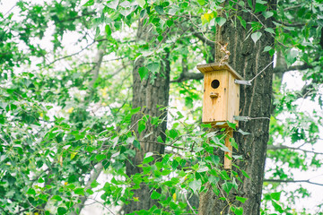 Wooden birdhouse hangs on a tree trunk among the leaves