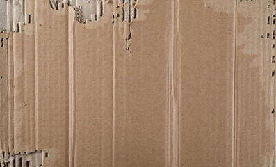Torn cardboard background and texture