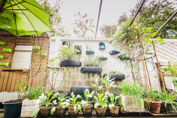 garden in urban