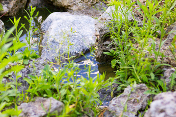 Cascadas pequeñas