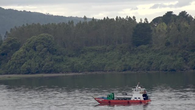 Barco en Rio Valdivia, Chile