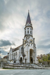 Fototapeta na wymiar Basilica of the visitation, Annecy, France