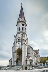 Fototapeta na wymiar Basilica of the visitation, Annecy, France