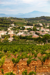 vineyards near Chateauneuf-du-Pape, Provence, France