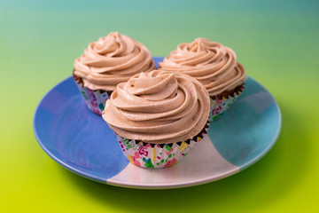 Cupcakes on a colorful background