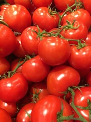 tomatoes on the vine
